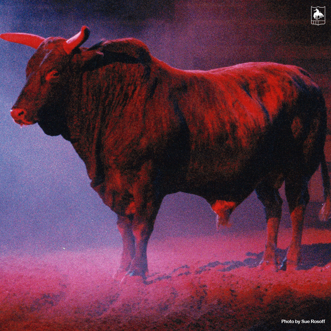 Flashback Friday: Red Rock was one of the best ever. Read more ⏩️ bit.ly/43OVqsB