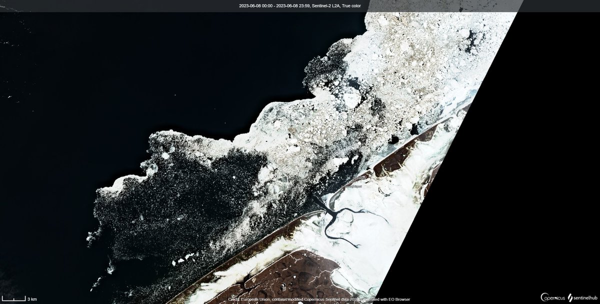 High Resolution imagery 6/8/23 of sea ice (white & tan) and near ice free (black) waters off the coast of Shishmaref .  Near ice free waters 14km from the coast.
@sentinel_hub @CopernicusEU #alaskaseaice #akwx