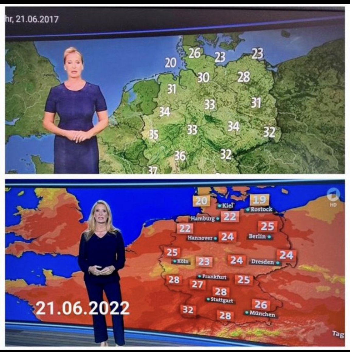 June Slater tweet media