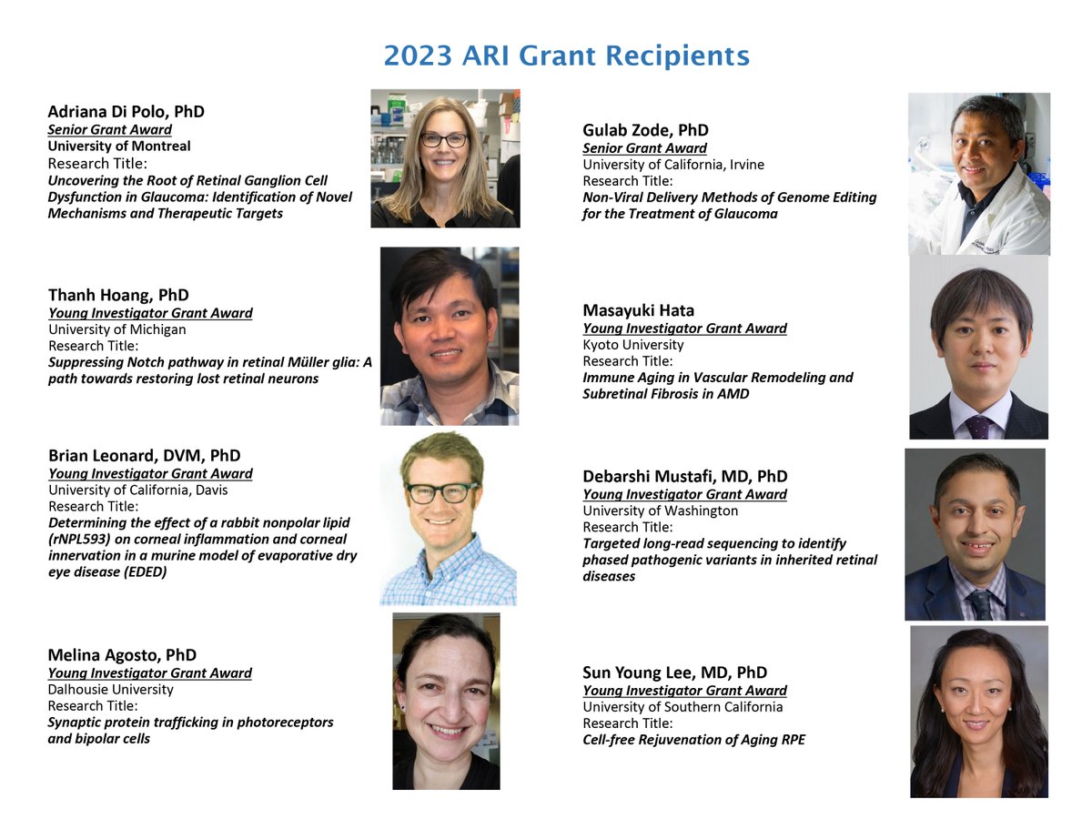 Dr. Sun Young Lee received 1 of 8 Young Investigator Awards from #AlconResearchInstitute! Learn more about her work and follow her lab @LeeRetinaLab. @KECKSchool_USC @KeckMedUSC #dryamd #retina