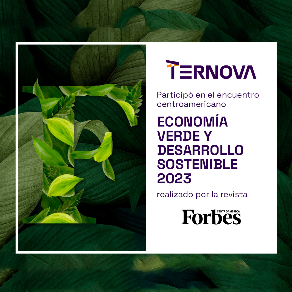 La prestigiosa Revista Forbes Centroamérica nos reconoce como uno de los lideres en sostenibilidad al seleccionarnos como parte del panel del Foro 'Economía verde y desarrollo sostenible 2023'. #Ternova #sostenibilidad #ForbesSostenible #EconomíaVerde