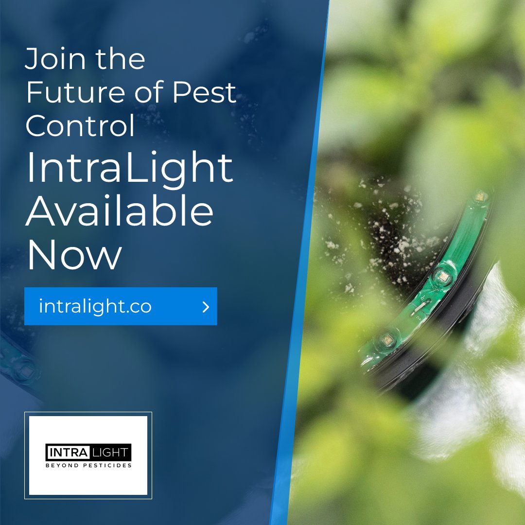 IntraLight tweet media
