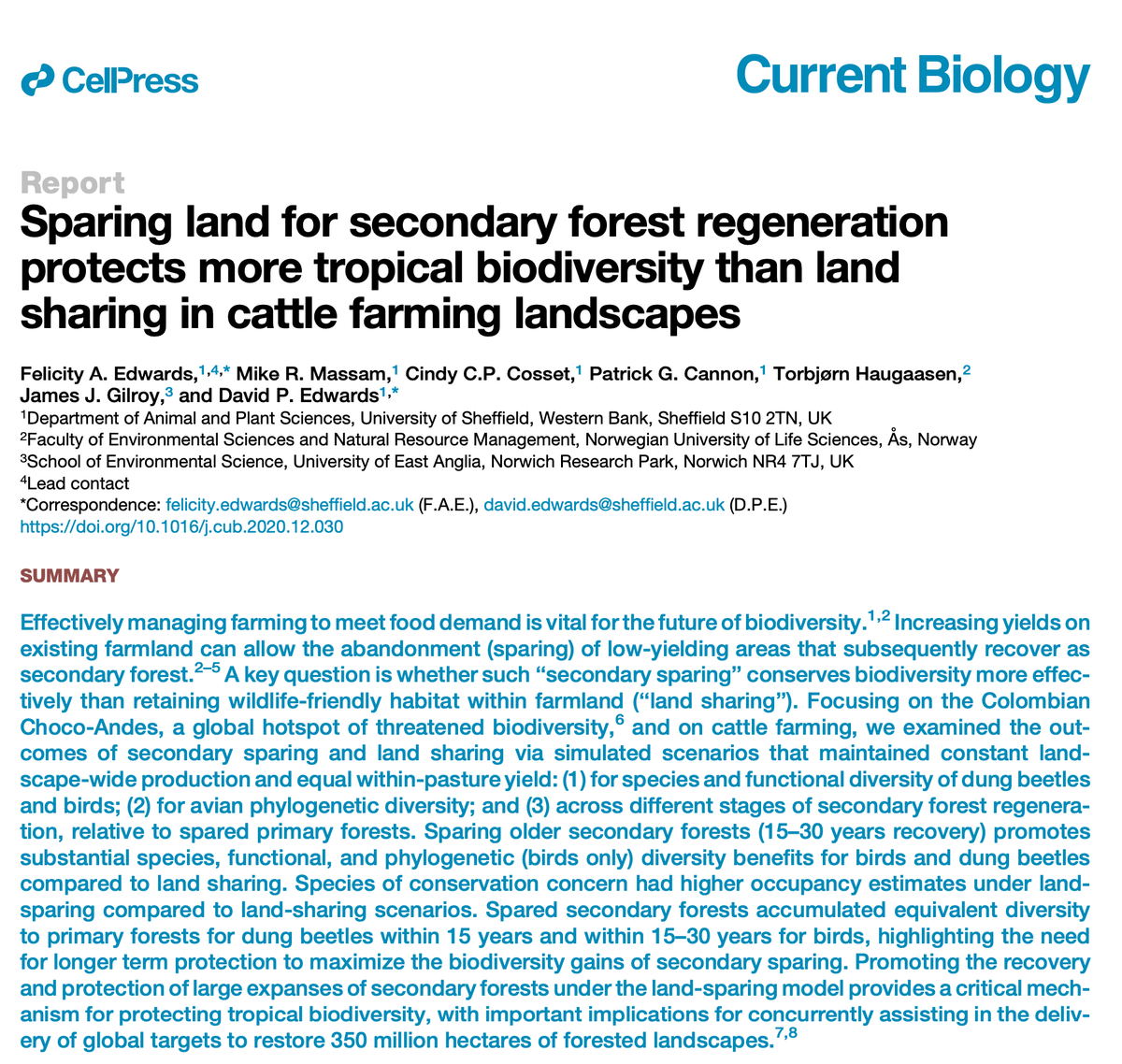 Ruben Dario Palacio, Ph.D. tweet media