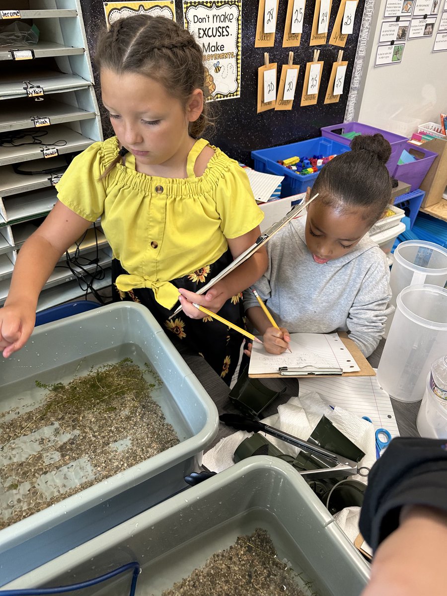 Jonelle Michlovitch tweet media