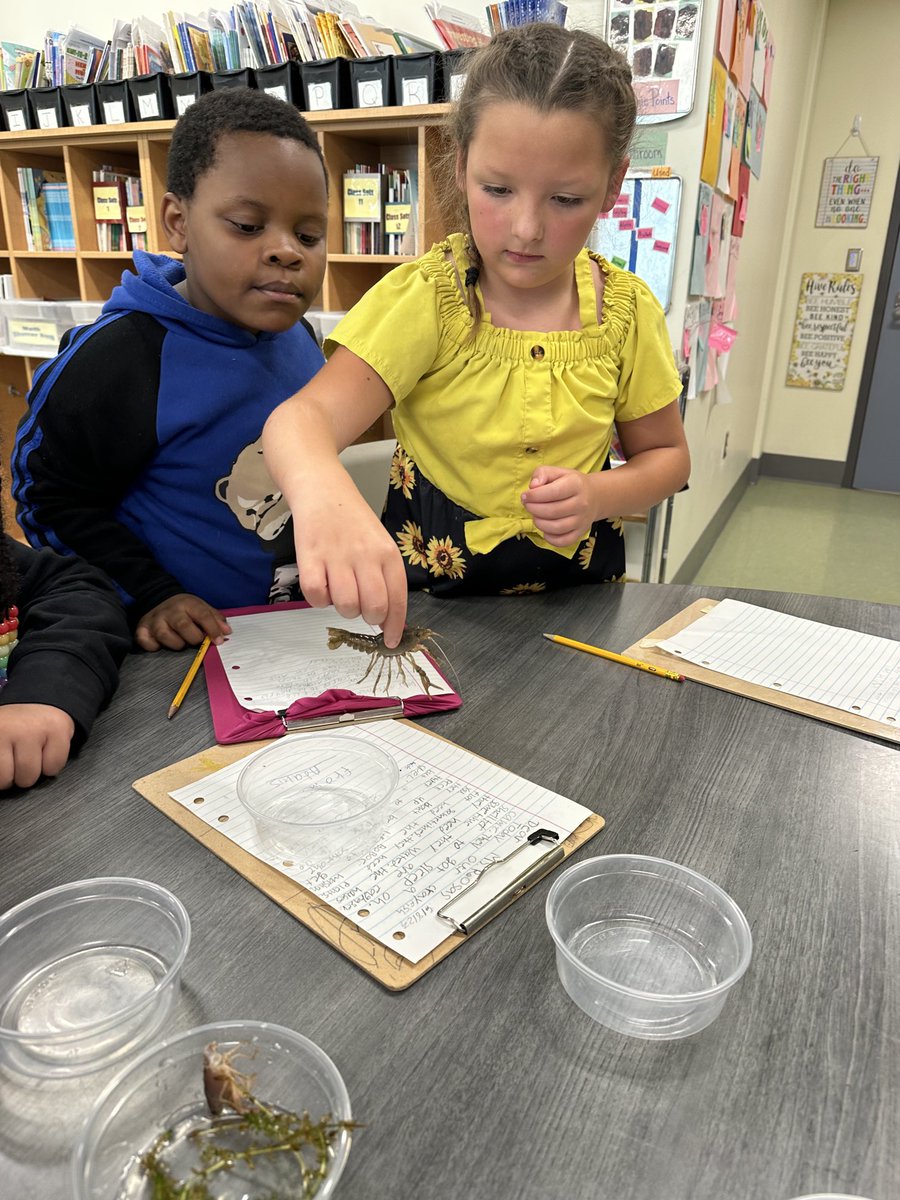 Jonelle Michlovitch tweet media