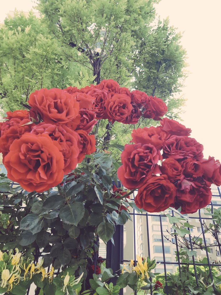 dryakrtl's tweet photo. "Çabuk gözden çıkarıyor gibi gözüküyorum ama gözden çıkarmamak için verdiğim çabayı ben bilirim." https://t.co/p3DTMrwp9E