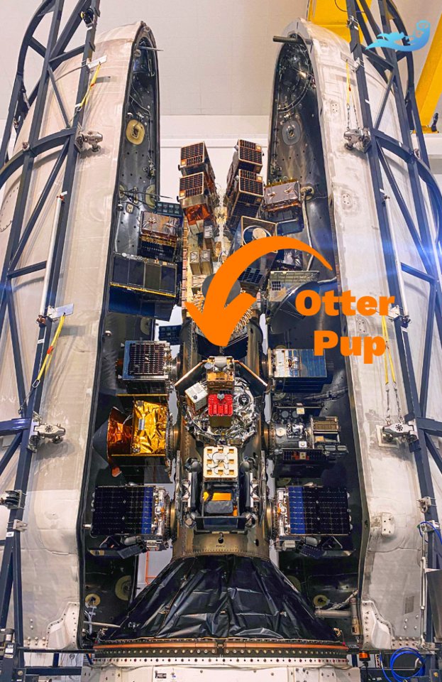 Starfish Space (@starfishspace) on Twitter photo The Journey of Otter Pup!  
In a few days, Otter Pup will embark on its mission to attempt docking with another satellite in low Earth orbit.  
Follow along on Otter Pup's journey from launch to docking attempt later this year as we highlight key milestones along the way. The Journey of Otter Pup!  
In a few days, Otter Pup will embark on its mission to attempt docking with another satellite in low Earth orbit.  
Follow along on Otter Pup's journey from launch to docking attempt later this year as we highlight key milestones along the way.