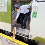 釜石線に遅れが発生!？　原因は猫の無賃乗車だった