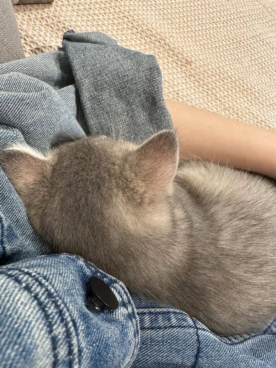 lanneyviolet's tweet photo. Feel so comfy https://t.co/D0A1XXDAwn