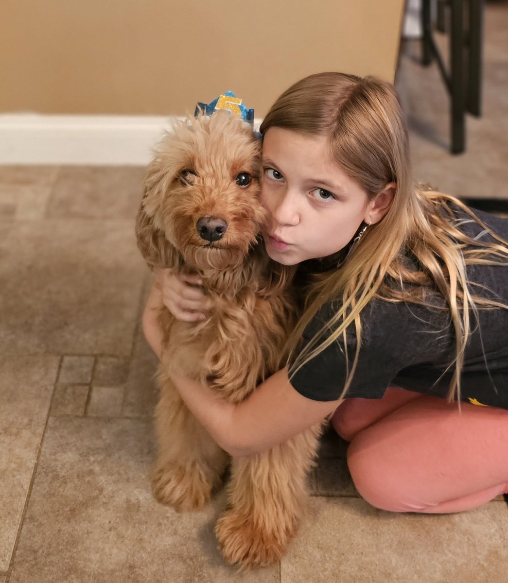 Happy 5th Birthday to our Barley boy!