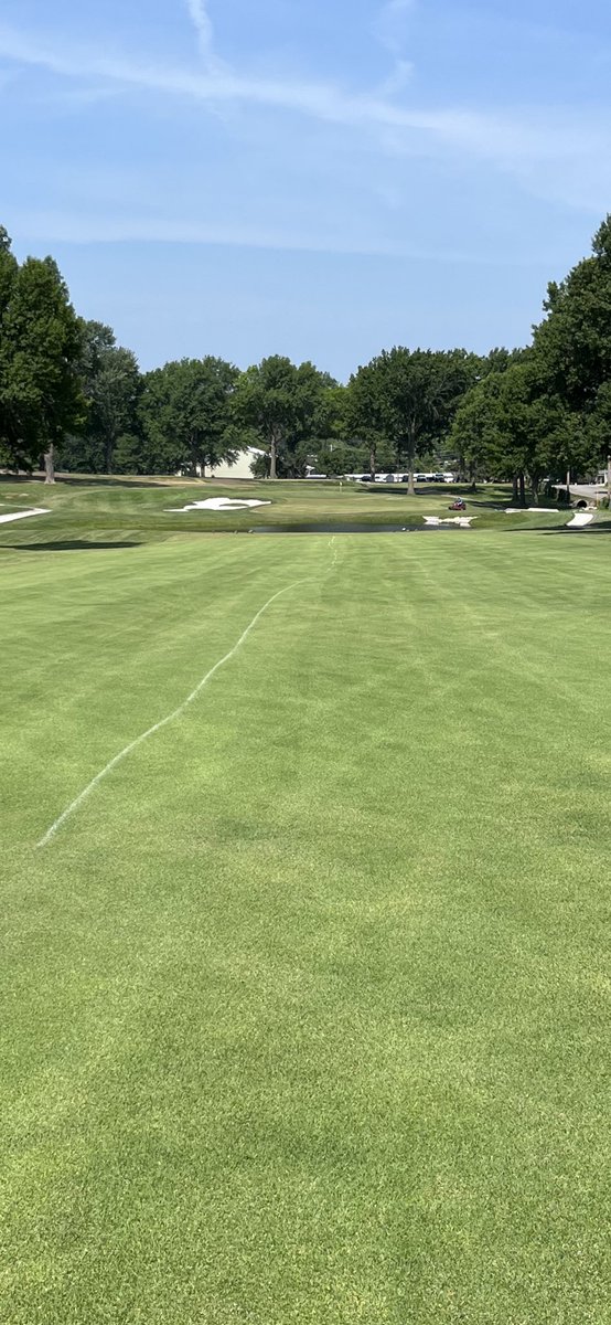 CE Golf Design tweet media