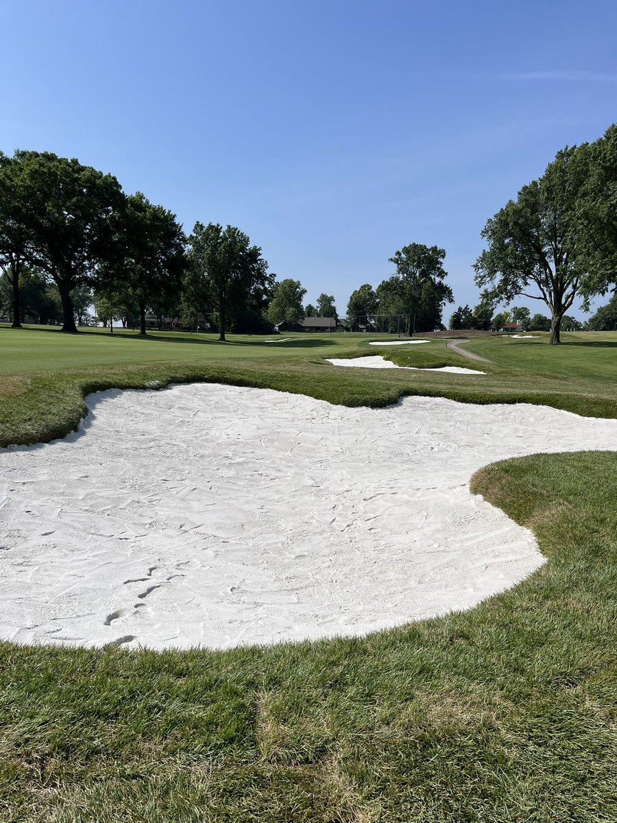 CE Golf Design tweet media