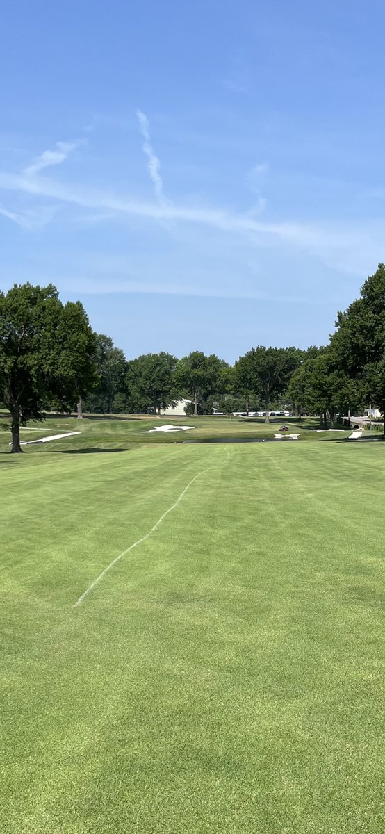 CE Golf Design tweet media