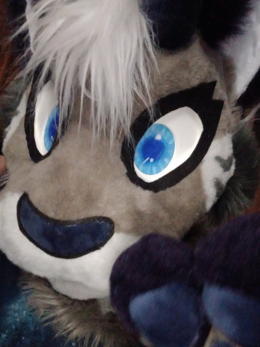 Happy #FursuitFriday! Eclipse wants some salmon treats and some cat nip if you've got any ♡ https://t<a href="/tag/fursuitfriday"class="tags">#FursuitFriday</a>