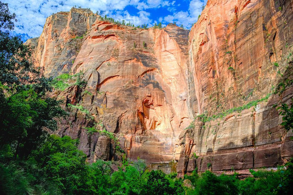 Enjoy the #EαrthPørn!

Cliff Face at Zion National Park, Utah, USA [OC] [1000x666] 
Photo Credit: wdbriscoephotography 
.