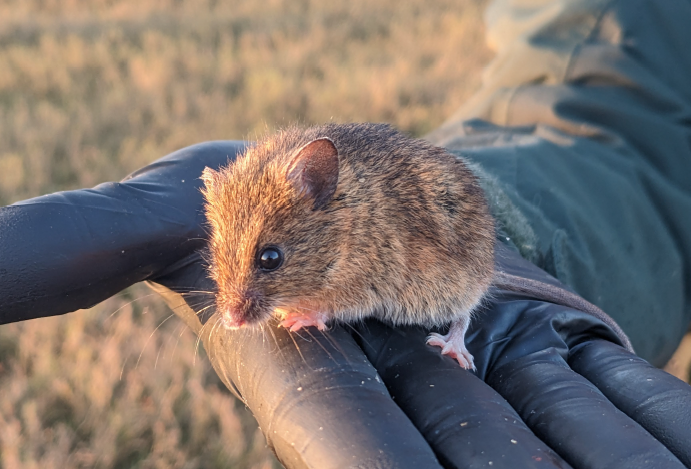 marinparks tweet media