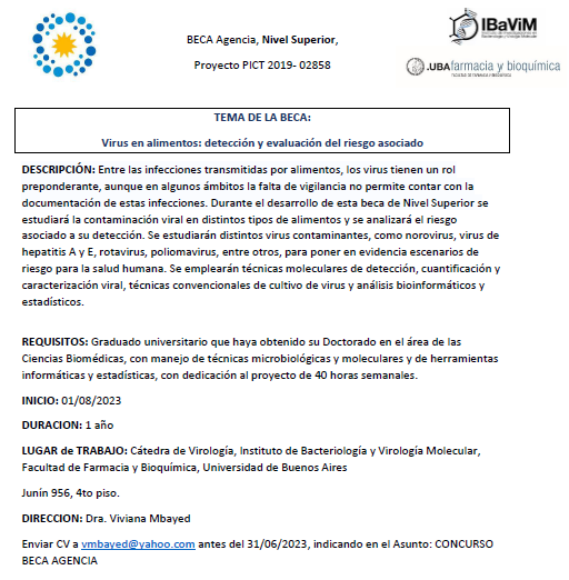 IBaViM tweet media