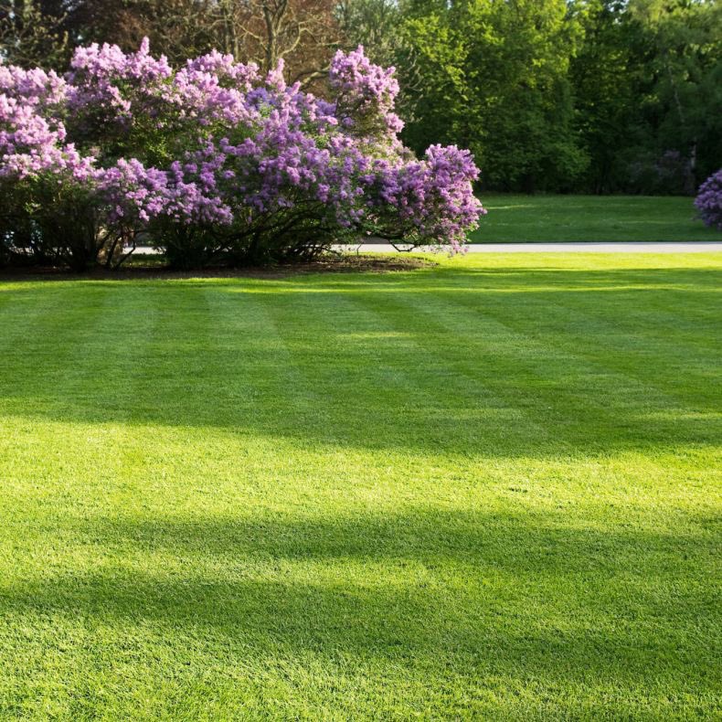 PuroClean_TC's tweet photo. ☀️Keep your lawn fresh and green, even as the summer temperatures rise! Program them to run during the early morning or late evening hours for better absorption, and avoid turning them on near your home's foundation, as water can seep into cracks and lead to damage. https://t.co/c77c6acRSm