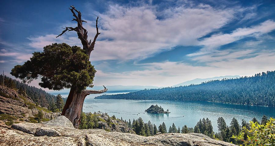 Art for the Eyes! buff.ly/3qYq4x2 #home #amazing #art #landscapephotography #artlover #travel #photooftheday #picoftheday #artworks #amex #naturelovers #landscapelovers #fineart #art4sale #artphotography #laketahoe #nevada