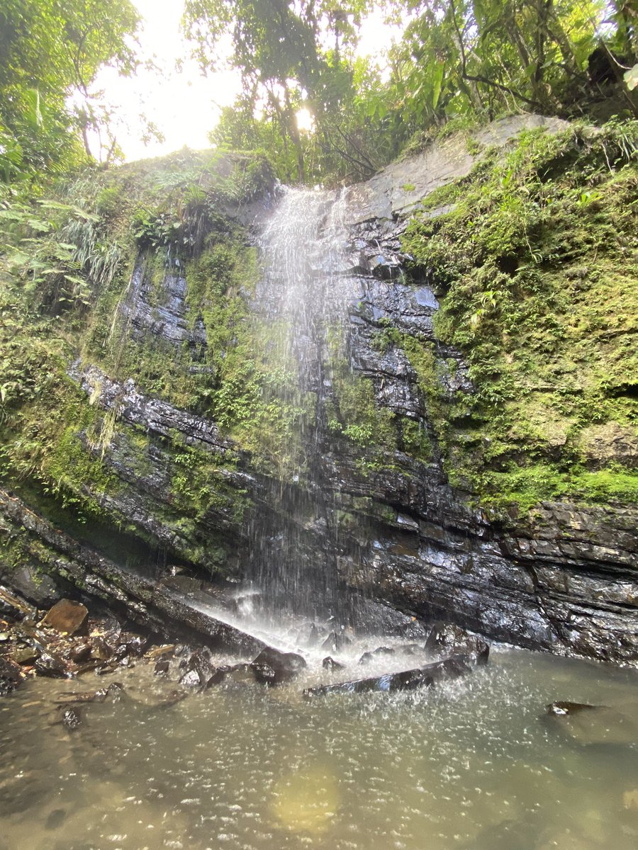 ncoggins_lschs's tweet photo. After painting during our final two days of @lschs service in Puerto Rico at the Parish of San Juan Bautista de La Salle, we earned an amazingly refreshing soak in El Yunque tropical rainforest. #LeaveToServe https://t.co/rVM8YMFbys