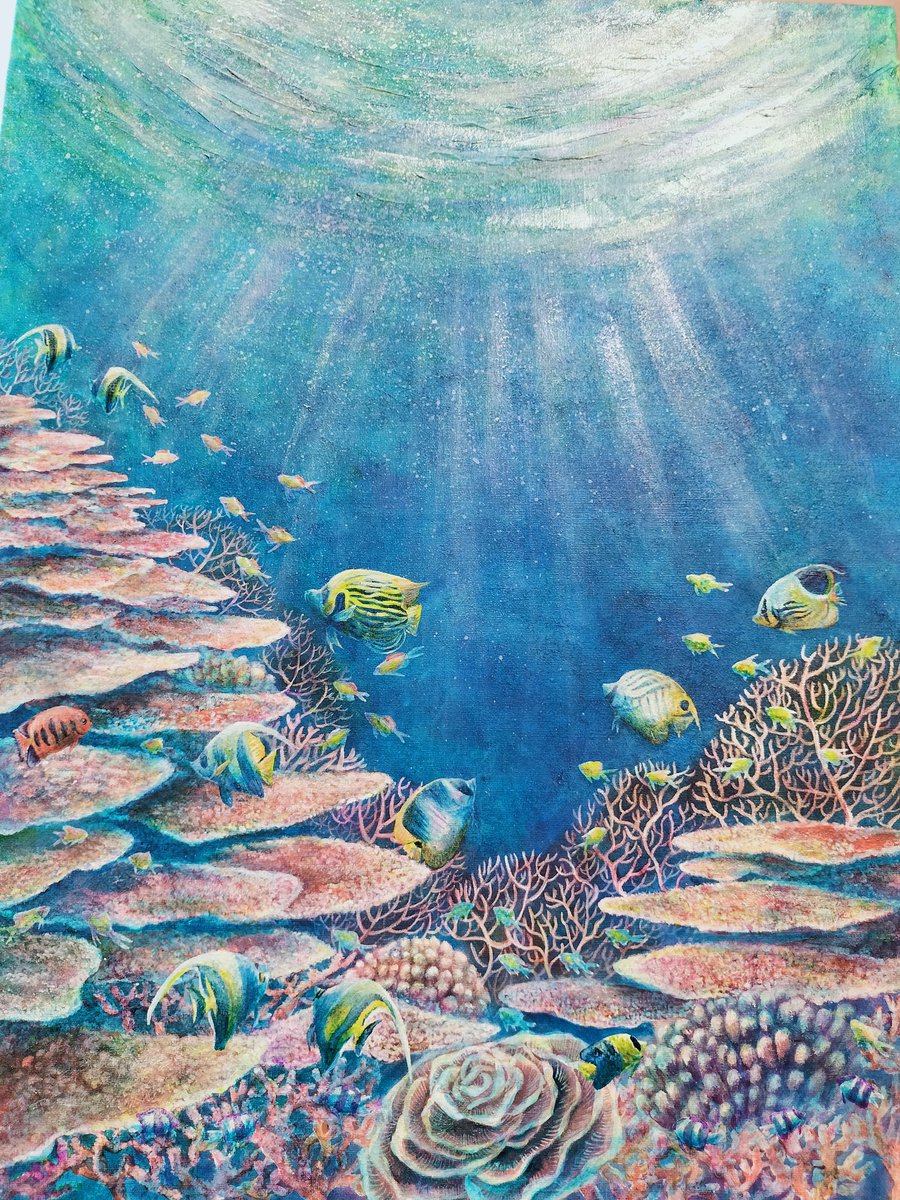 やーっと完成しました！
大好きなパラオ海🇵🇼
海中の多様な色合を出すために、40色以上の絵具を組み合わせて描きました。
作品の中には12種類の魚が泳いでいます🐟
#絵描きさんと繋がりたい #絵
#イラスト #ダイビング #魚
#スキューバダイビング