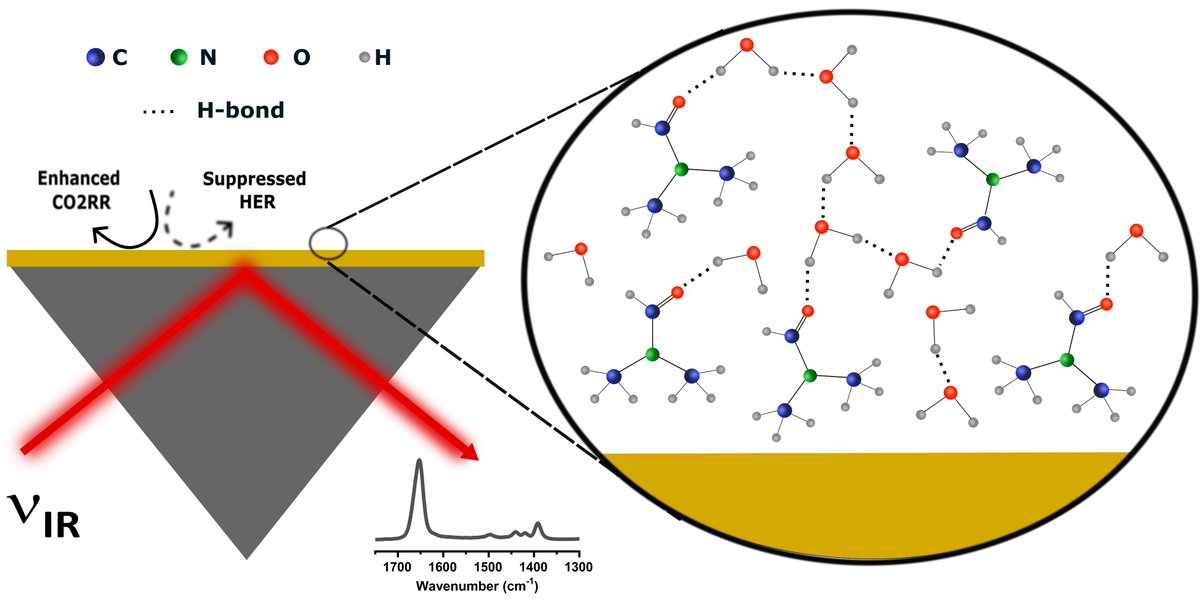 Materials & Interface Engineering @ TNN's Lab (@tnnlab) on Twitter photo Hot off the press!!!
doi.org/10.1021/acscatā¦
Check out our recent article in <a href="/ACSCatalysis/">ACS Catalysis</a>
where we discuss simple efficient electrolyte engineering for electrocatalysis and study the interface with highly sensitive in situ IR spectroscopy. Kudos <a href="/NanditaMohandas/">Nandita Mohandas</a> <a href="/tharangattu/">Narayanan Tharangattu Narayanan</a>! Hot off the press!!!
doi.org/10.1021/acscatā¦
Check out our recent article in <a href="/ACSCatalysis/">ACS Catalysis</a>
where we discuss simple efficient electrolyte engineering for electrocatalysis and study the interface with highly sensitive in situ IR spectroscopy. Kudos <a href="/NanditaMohandas/">Nandita Mohandas</a> <a href="/tharangattu/">Narayanan Tharangattu Narayanan</a>!