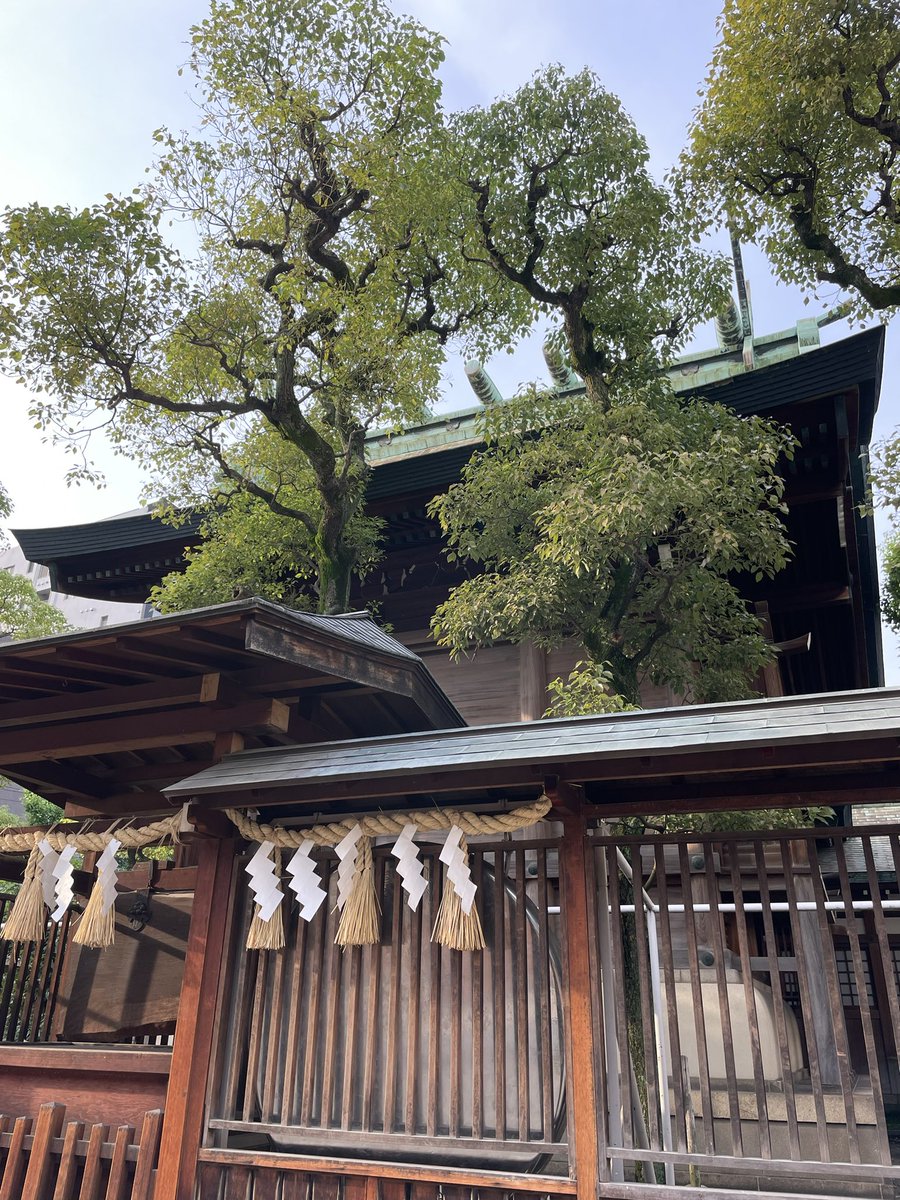 iebisuofficial's tweet photo. 令和5年6月10日
7時30分より月次祭を斎行いたしました。
湿気の多く夏の狩衣でも暑さを避けられない季節となりました。
崇敬者を始め皆様の健康と商売繁昌をご祈念申し上げます。
#今宮戎神社#神社#商売繁昌#十日戎#祭
#imamiya #ebisu #shrine #osaka https://t.co/9ky8QL3o2u