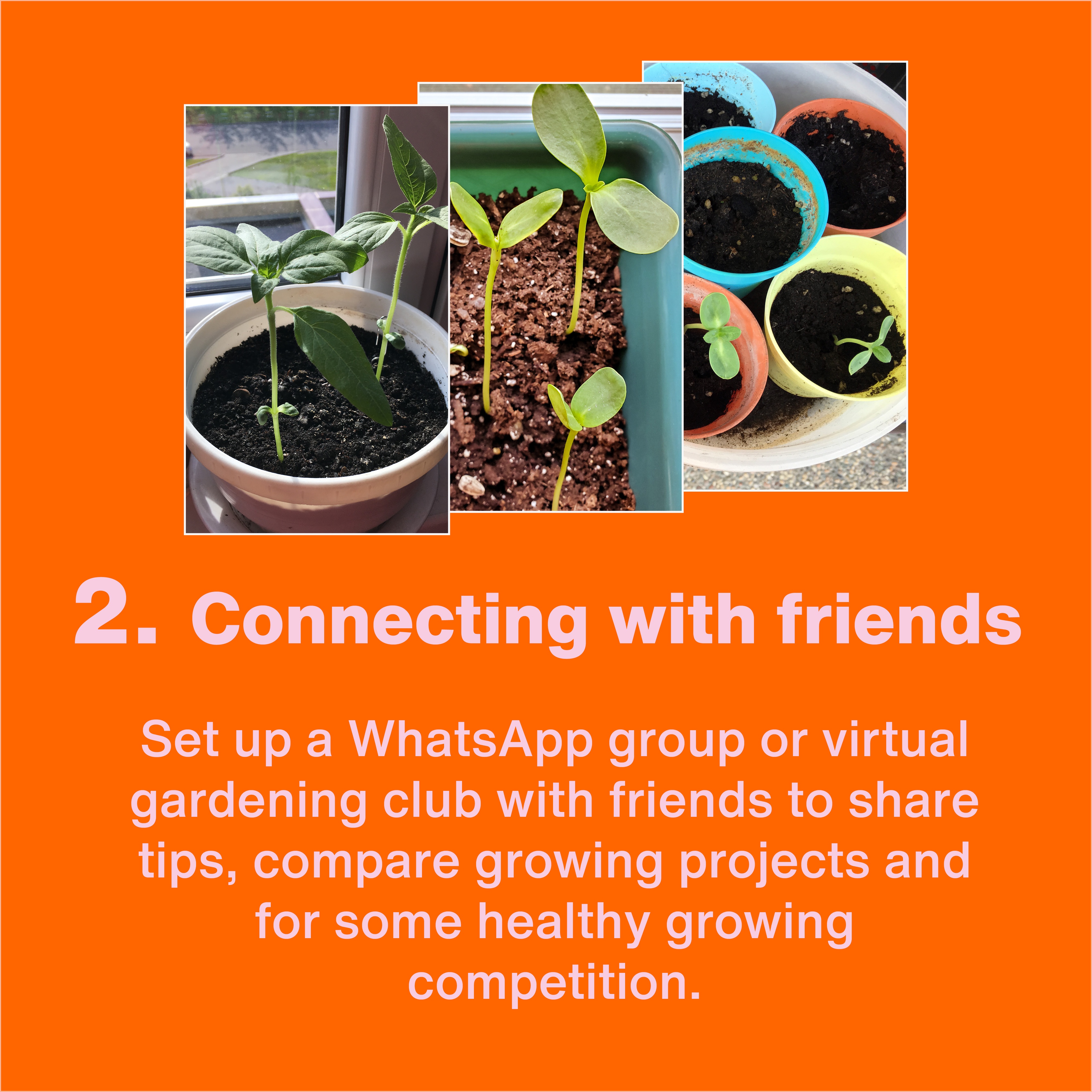 Apps For Friends To Share Schedules