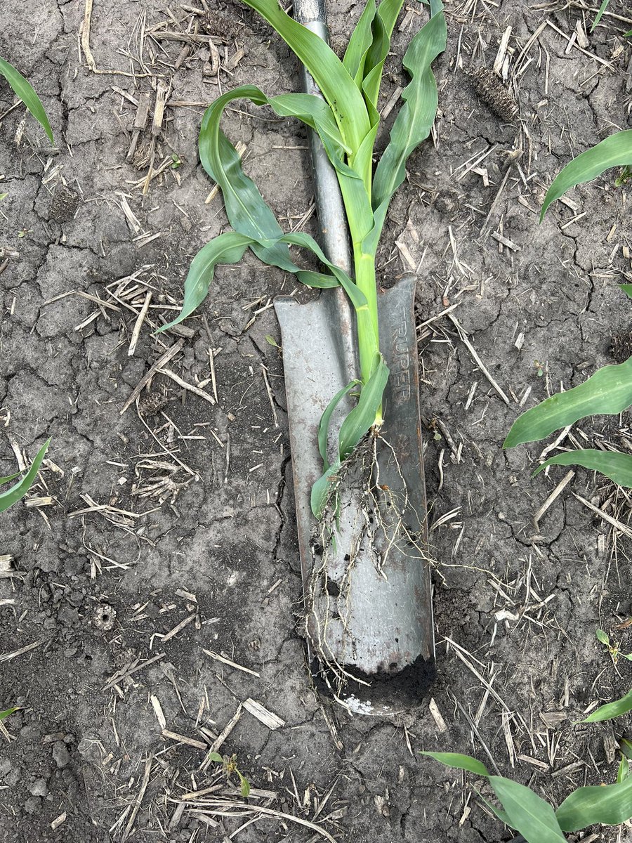 Gabe Fiscus tweet media