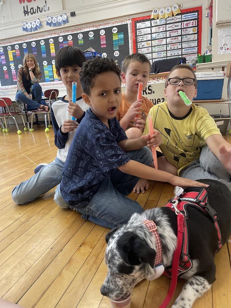 Penny’s last visit for this school year ended with everyone, including Penny, enjoying ice pops and doggy ice cream.Penny taught us a great deal-socially and emotionally! Have a great summer, Penny.Hope to see you next school year.⁦@AsstSupBlmfld⁩ ⁦@WatsessingPage⁩ ⁦