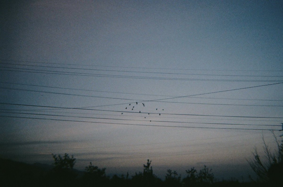 momomo_pic's tweet image. 覚束ないこの世界でたしかな光を探してる

#filmphotography 
#toycamera 
#juicecamera