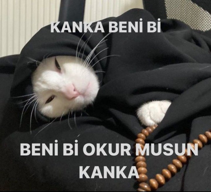 sakinolcevo's tweet photo. Kesin çözüm https://t.co/HenYq44fYr