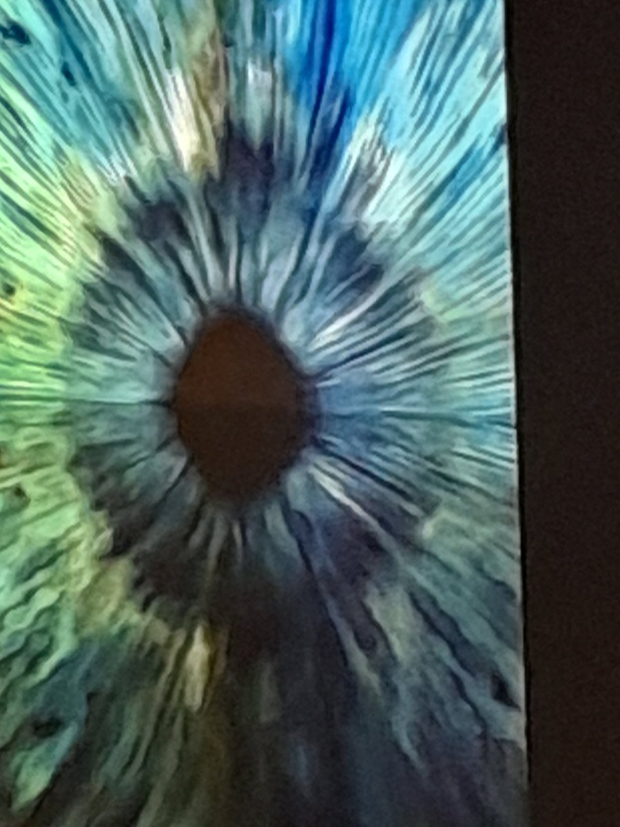 Lynley Tulloch tweet media