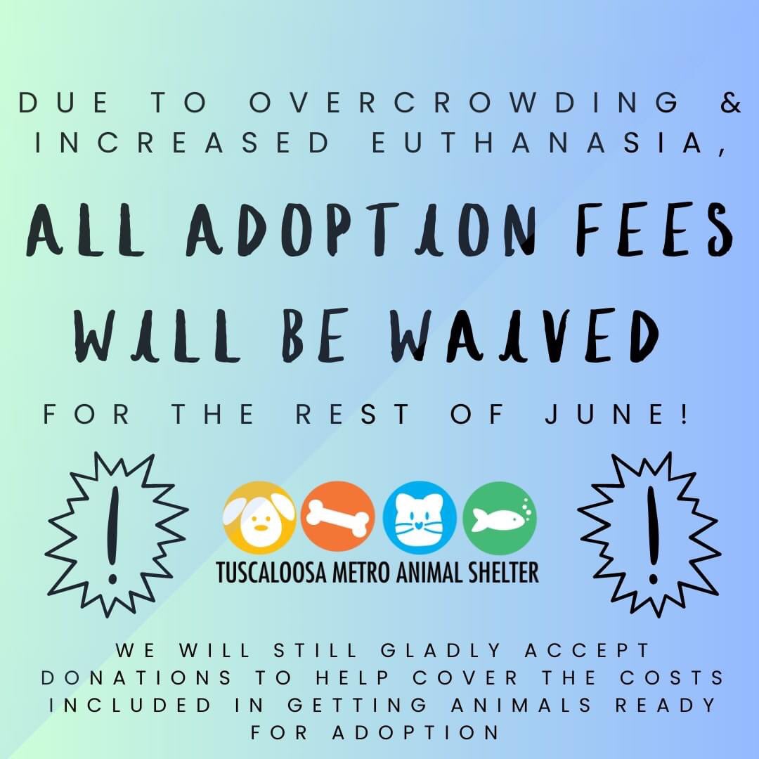 Due to overcrowding and increased euthanasia , all adoption fees will be waived for the remainder of the month of June. Please help us spread the word. We will still accept any donations towards the care of the animals and all it takes to help get them ready for adoption. ❤️‍🩹
