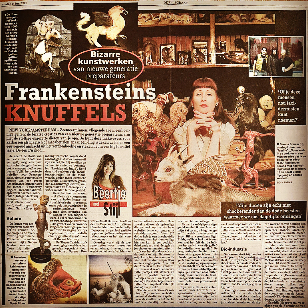#FlashbackFriday It was June 2007 when this article about the founders of the #Rogue #Taxidermy #art #movement ran in @Telegraaf . It was an honor having our work featured in the largest daily morning newspaper in Holland. A lot has changed in the art word since then.
