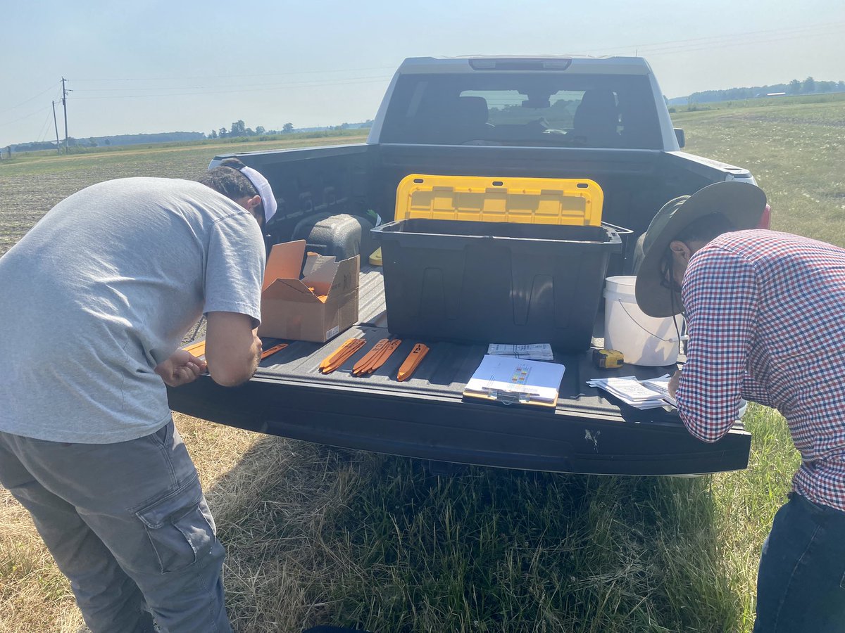OrtezCornCrops's tweet photo. Wrapping up the week on a good note. Almost full crew (5/8) at the #OARDC Research Station in Northwest Ohio… Looking at all things #Corn, #CoverCrops, #Sunflowers, and sibling crop #Soybeans
🌽🌽🌱🌱🌾🌾🌻🌻
@OSU_HortCropSci
@CFAES_GDSU
@CFAES_OSU https://t.co/tnfizxxXFq