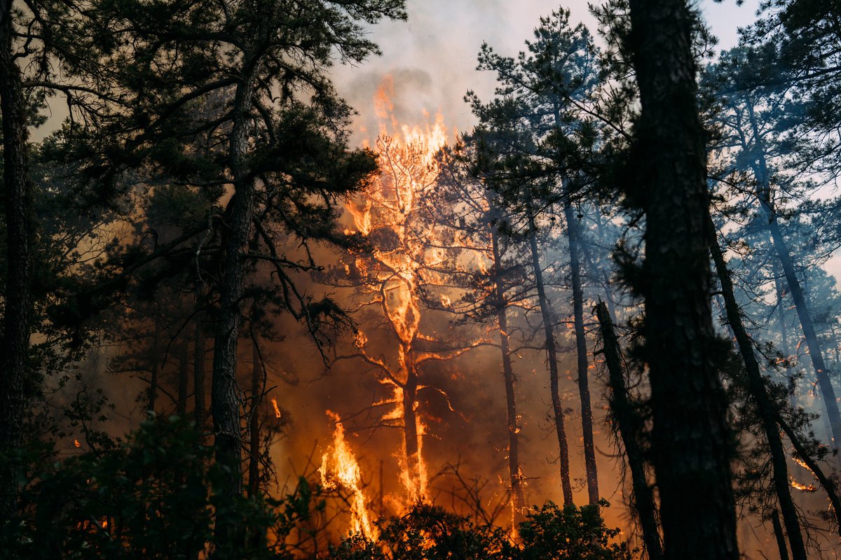 Shawn LaTourette tweet media