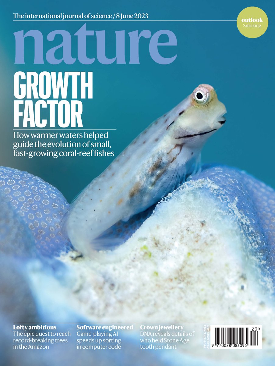 In case you missed it, our paper was featured on the cover of <a href="/Nature/">nature</a>! To read more about the evolution of fast-growing coral reef fishes 🐠 in a warmer world 🌡️, check out our paper here!

📸 <a href="/DrVictorHuertas/">Víctor Huertas</a> 

🔗doi.org/10.1038/s41586…