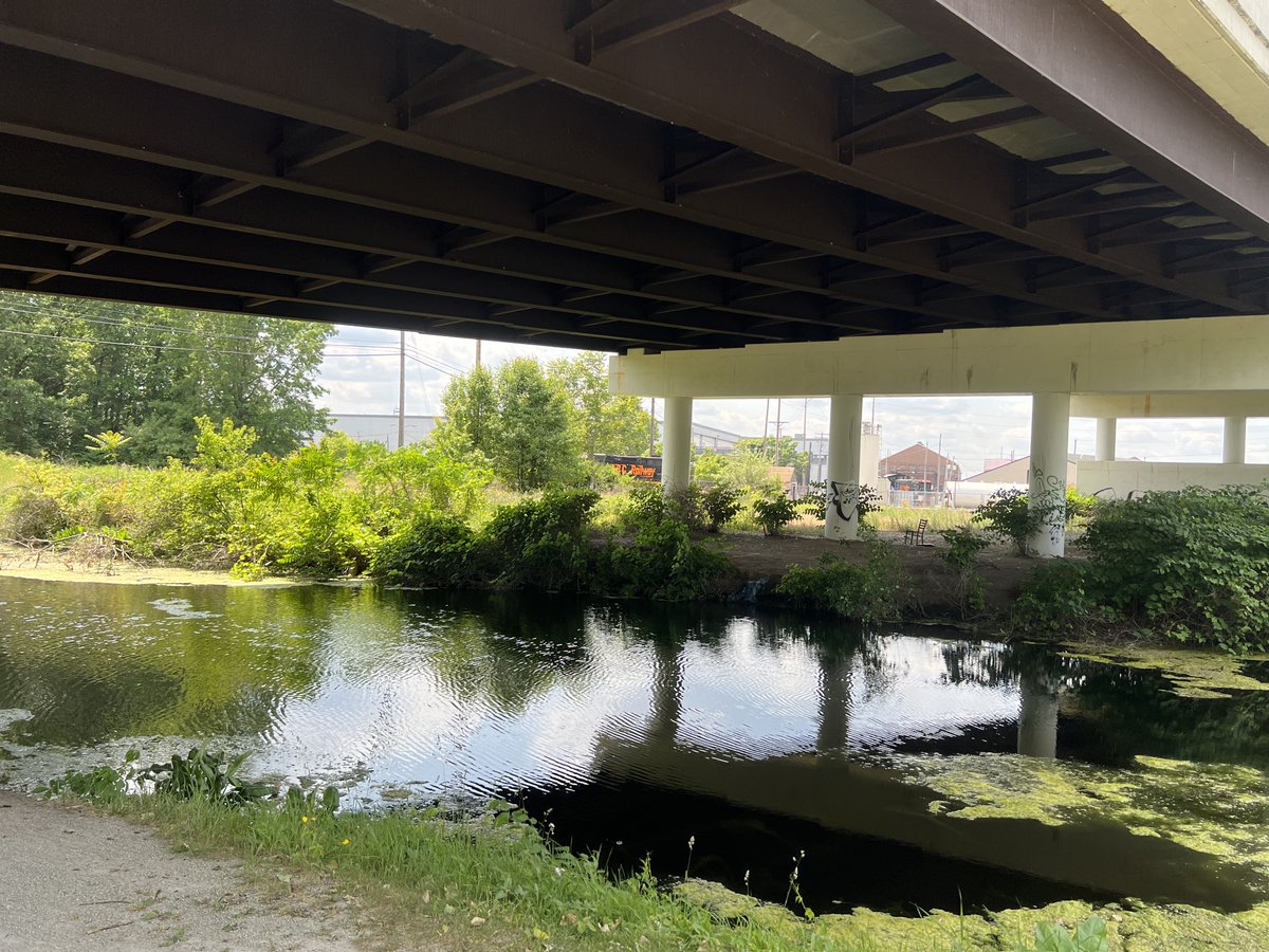 Allentown1711's tweet photo. Great ride ...... 🚴🏻♀️🚴🏻♀️🚴🏻♀️🚴🏻♀️ ☀️💜💫. #BikeLife #JuneMiles #PoppyGandHerDadBikedToo #SzalaysStop #CVNP https://t.co/muxy75CBhO