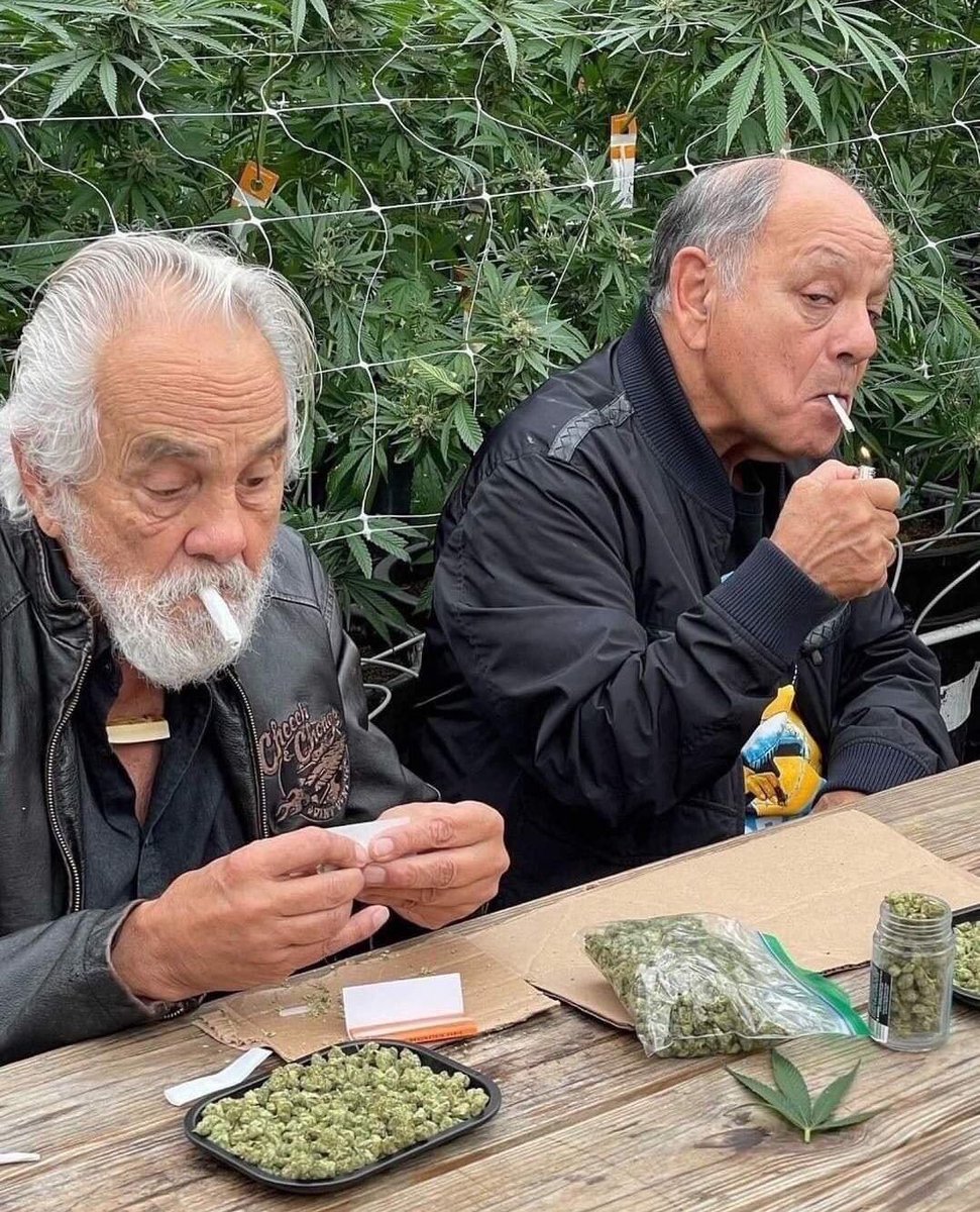 “Maconha é só uma fase, essa amizade nem vai durar”

Eu e meu amigx aos 70 anos: