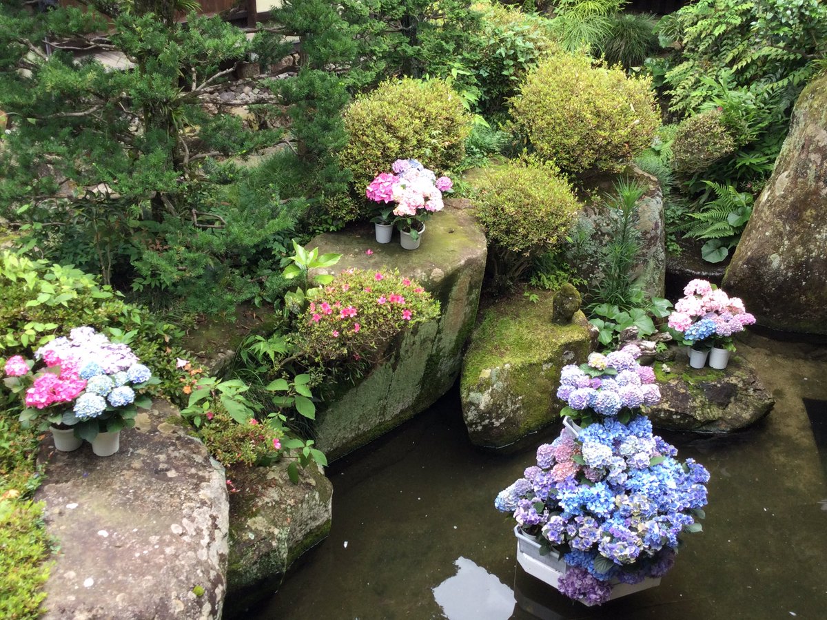 amabikitemple's tweet photo. 💠あじさい祭り💠
始まりました😊朝からたくさんの方に観ていただいてます🙏
やはり梅雨空にあじさいのお花映えますね💠
#雨引観音 #雨引山楽法寺 #あじさい #アジサイ #紫陽花#あじさい祭り#あじさい祭りは今日から 😊 https://t.co/3wntC2aqPr