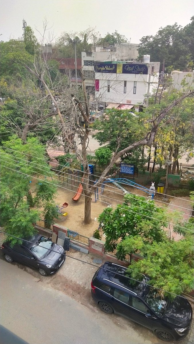 ATEET123456's tweet photo. #Directorate please cut this tree its a dangerous for kids due to its kids Play area park sector 4 gurgaon Shaheed Bhagat Singh park sector 4 gurgaon and green belt not maintain https://t.co/vHYmFIchC3