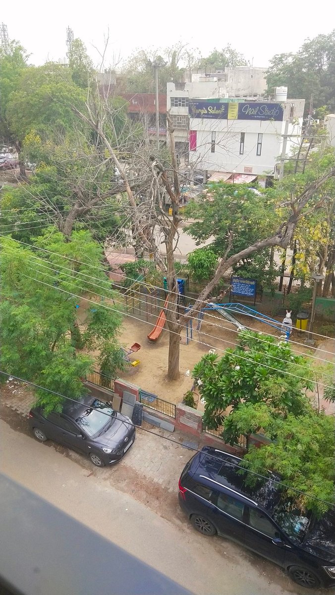 ATEET123456's tweet photo. #Directorate please cut this tree its a dangerous for kids due to its kids Play area park sector 4 gurgaon Shaheed Bhagat Singh park sector 4 gurgaon and green belt not maintain https://t.co/vHYmFIchC3