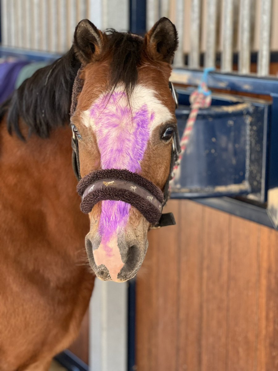 TomMagnier's tweet image. When you ask your youngest to colour in the pony…. She takes it literally…. 🙊