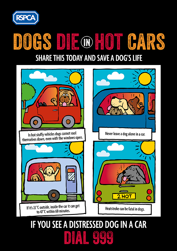 As the weather is warm, please be mindful of your pets and the heat. Dogs should not be left in the car alone, even for a short while. Heatstroke can be fatal.
rspca.org.uk/adviceandwelfa… 
#dogwelfare
#lookafteryourdog
#doghealth
#dogsdieinhotcars
#dogsinhotweather