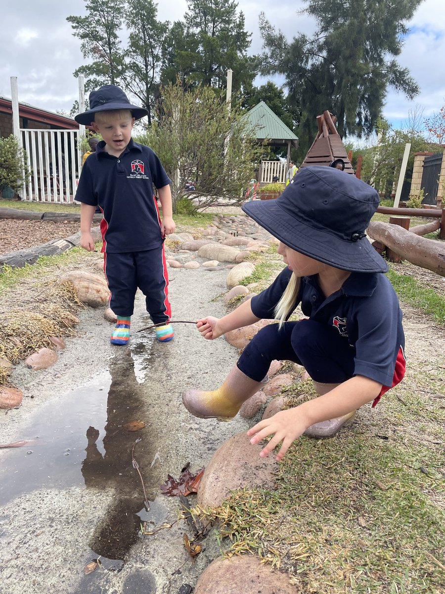 St Helena's CPS tweet media