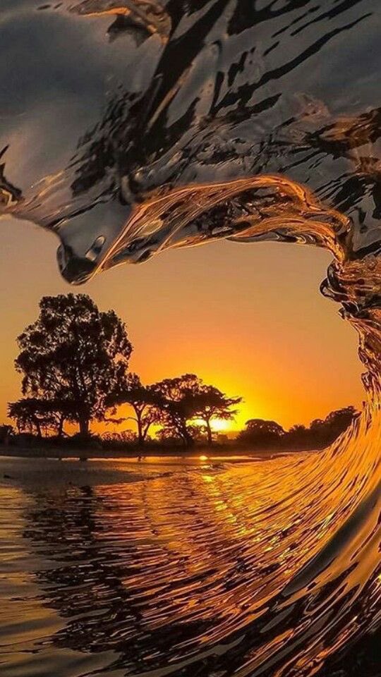 DailygratitudeQ's tweet photo. Thank you the Universe for a day full of joy. Thank you. https://t.co/0BVzl1Fgy5