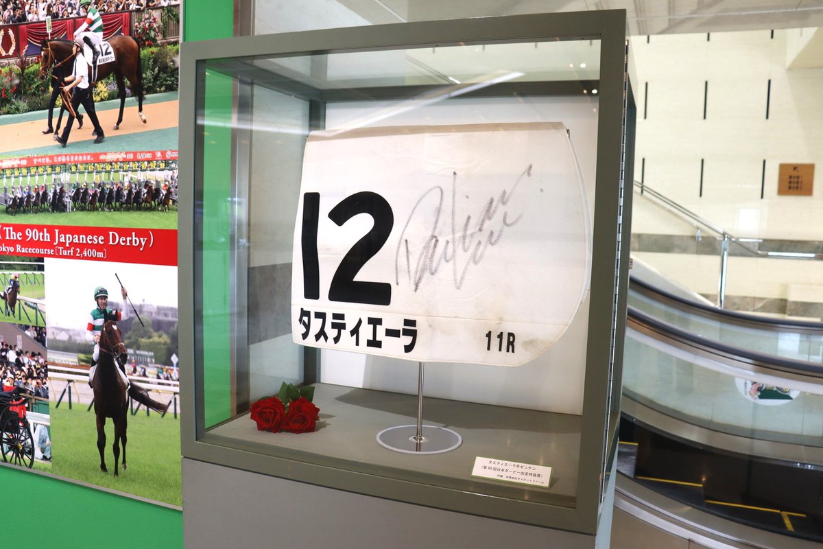 本日より10/1(日)まで 「第90回日本ダービー優勝馬展」を開催✨ 優勝馬