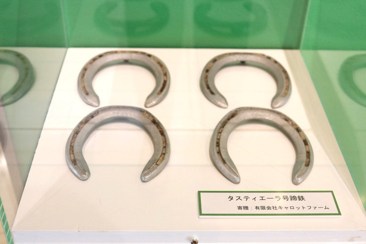 本日より10/1(日)まで 「第90回日本ダービー優勝馬展」を開催✨ 優勝馬