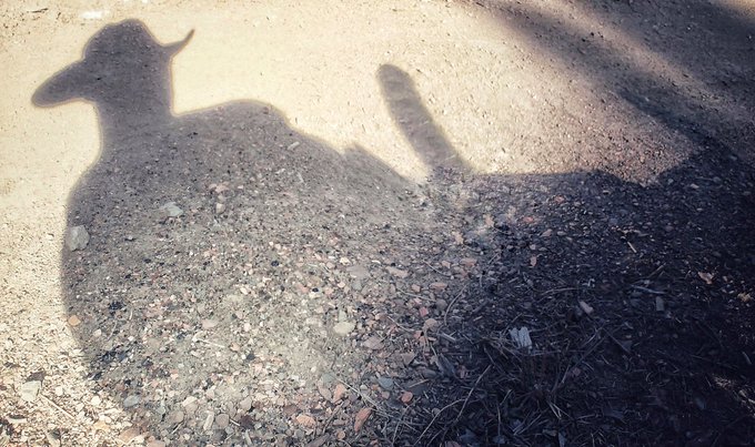 Glad winter is over - love the heat! https://t.co/pkEulyAJcS